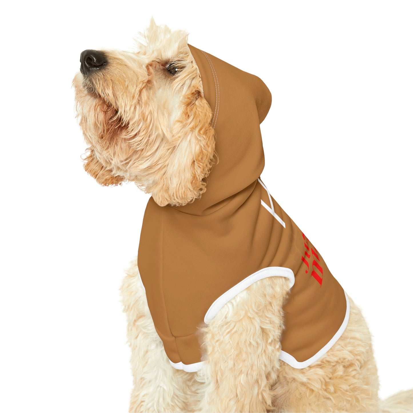 Light Brown Dog Hoodie