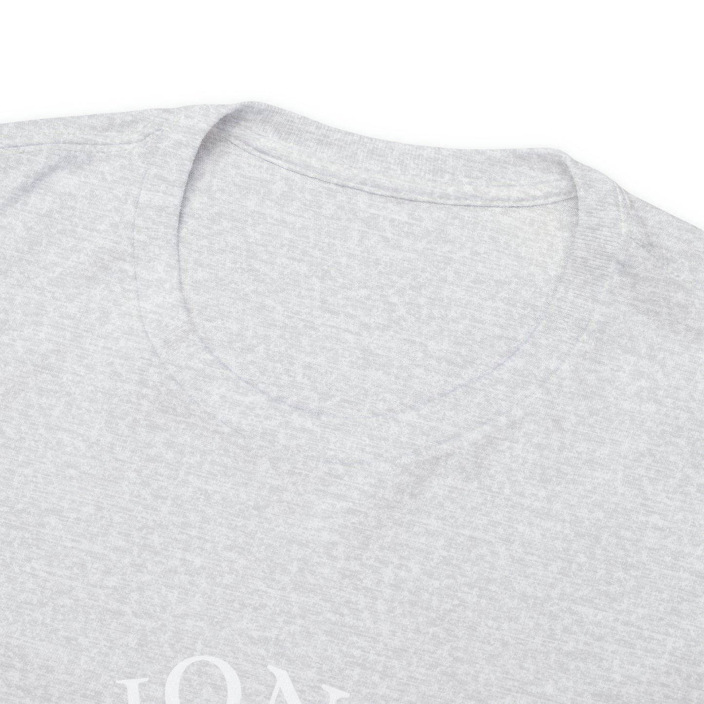 1ON1 Sportswear Heavy Cotton Tee