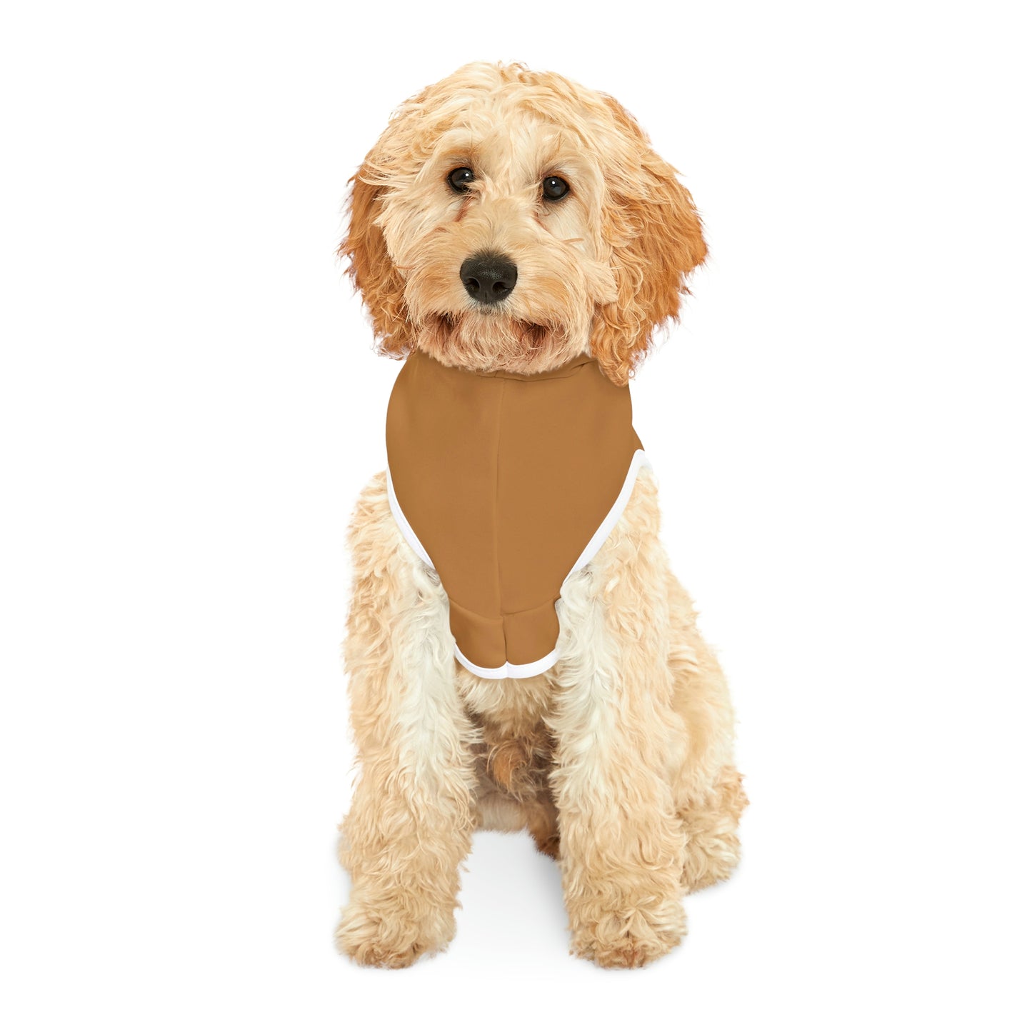 Light Brown Dog Hoodie