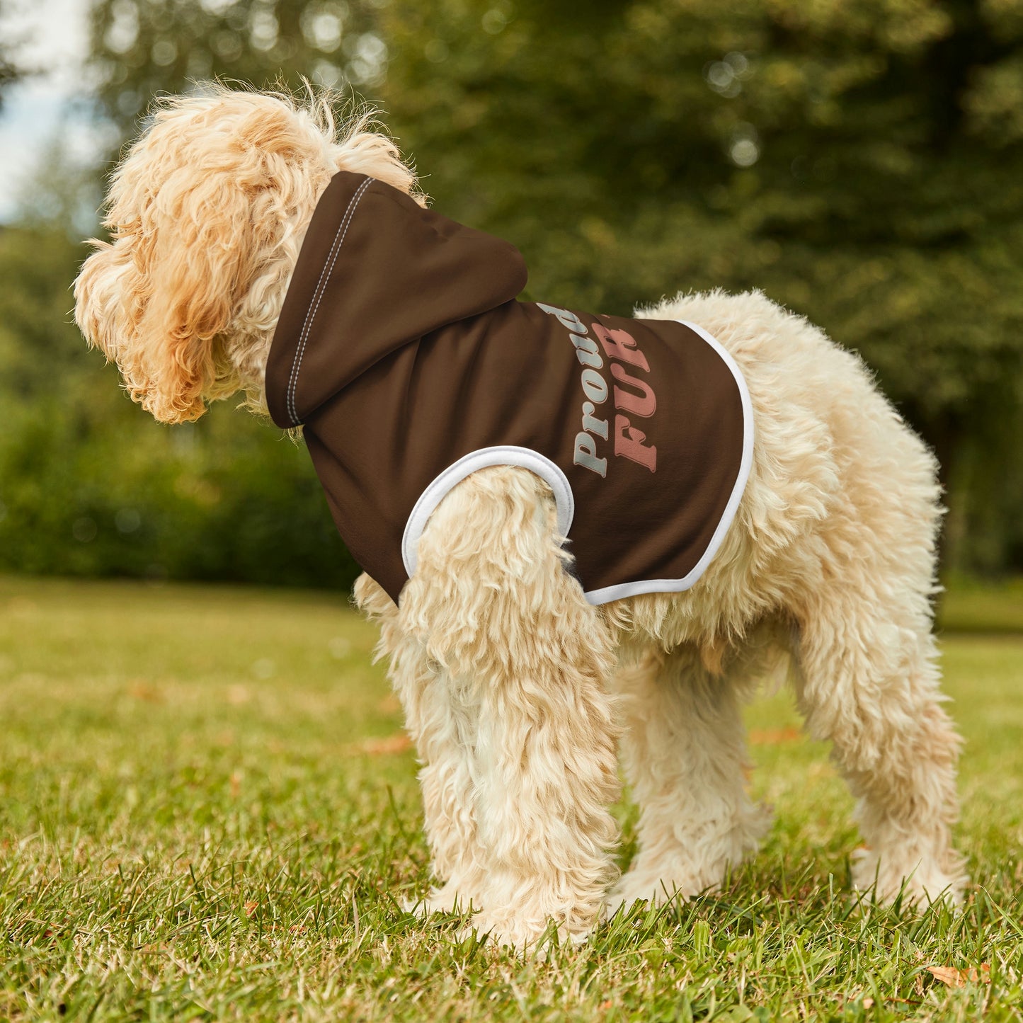 Dark Brown Dog Hoodie