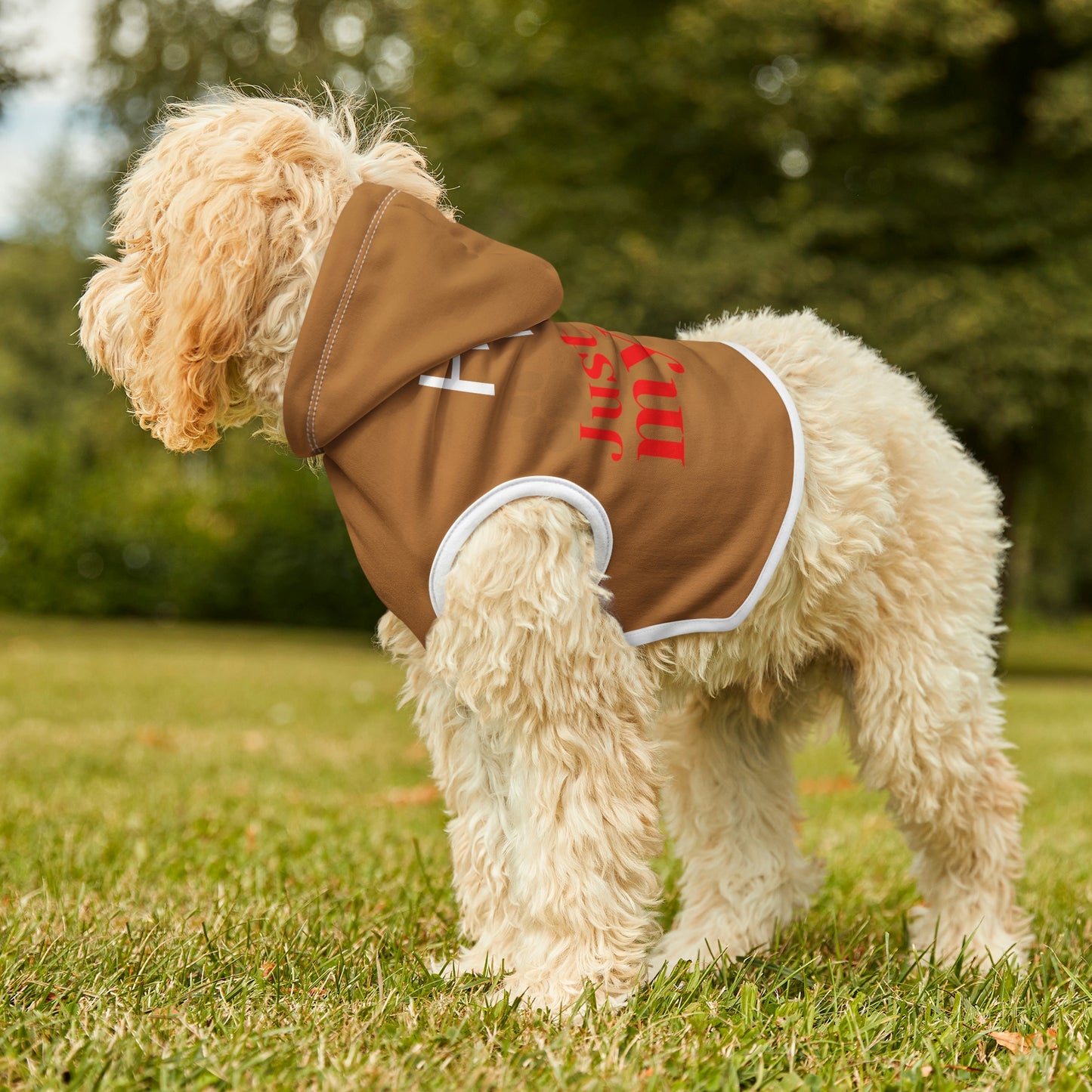 Light Brown Dog Hoodie