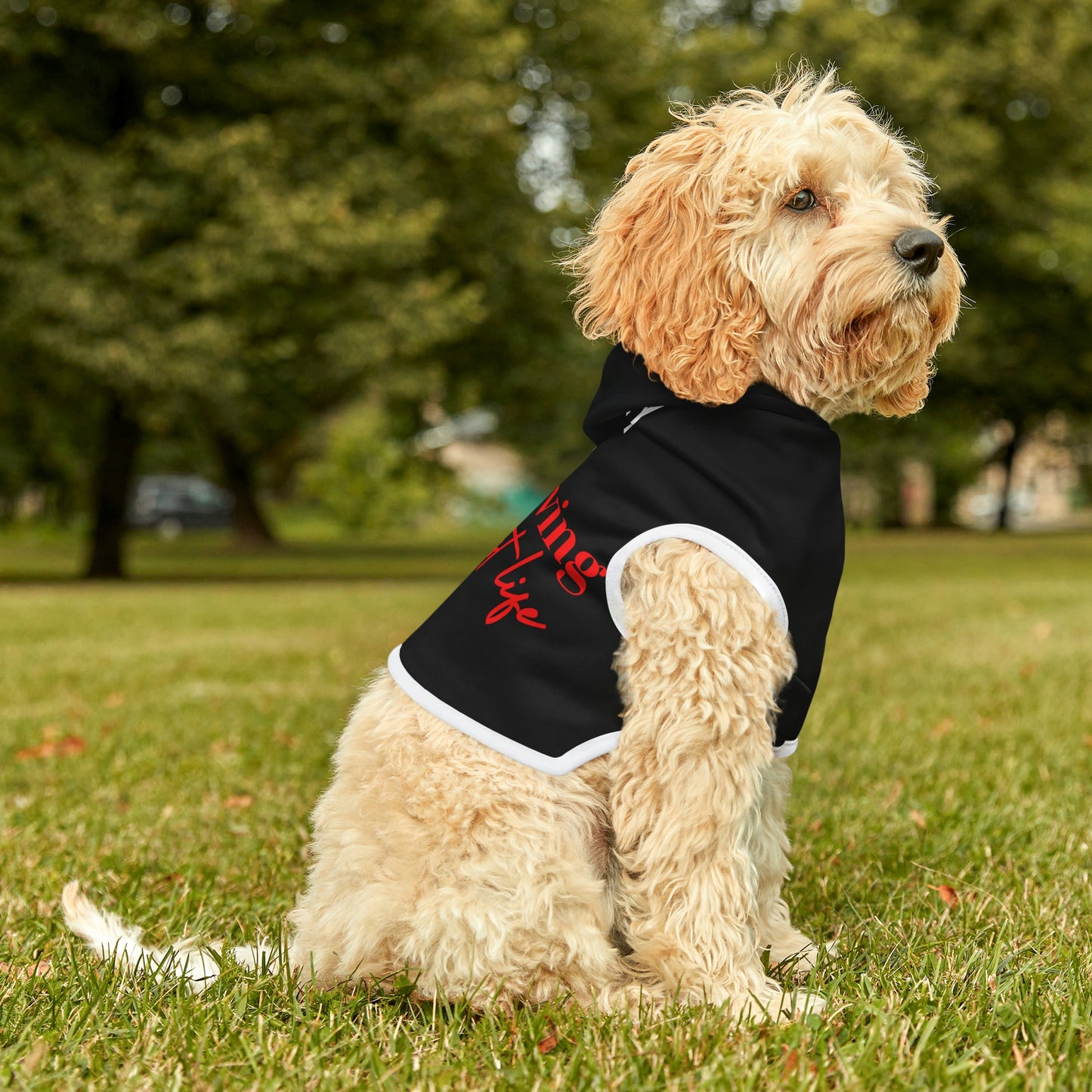 Black Dog Hoodie