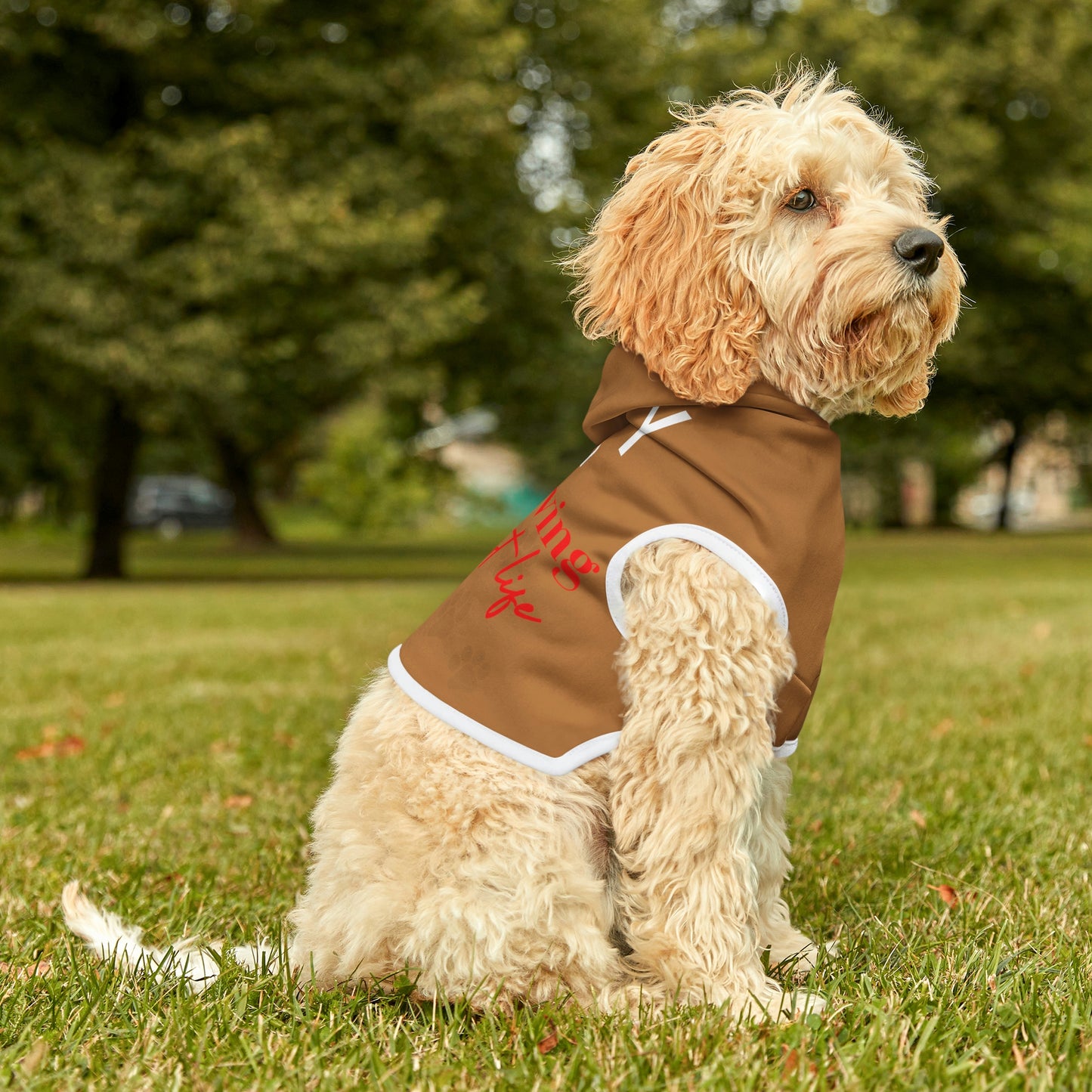 Light Brown Dog Hoodie