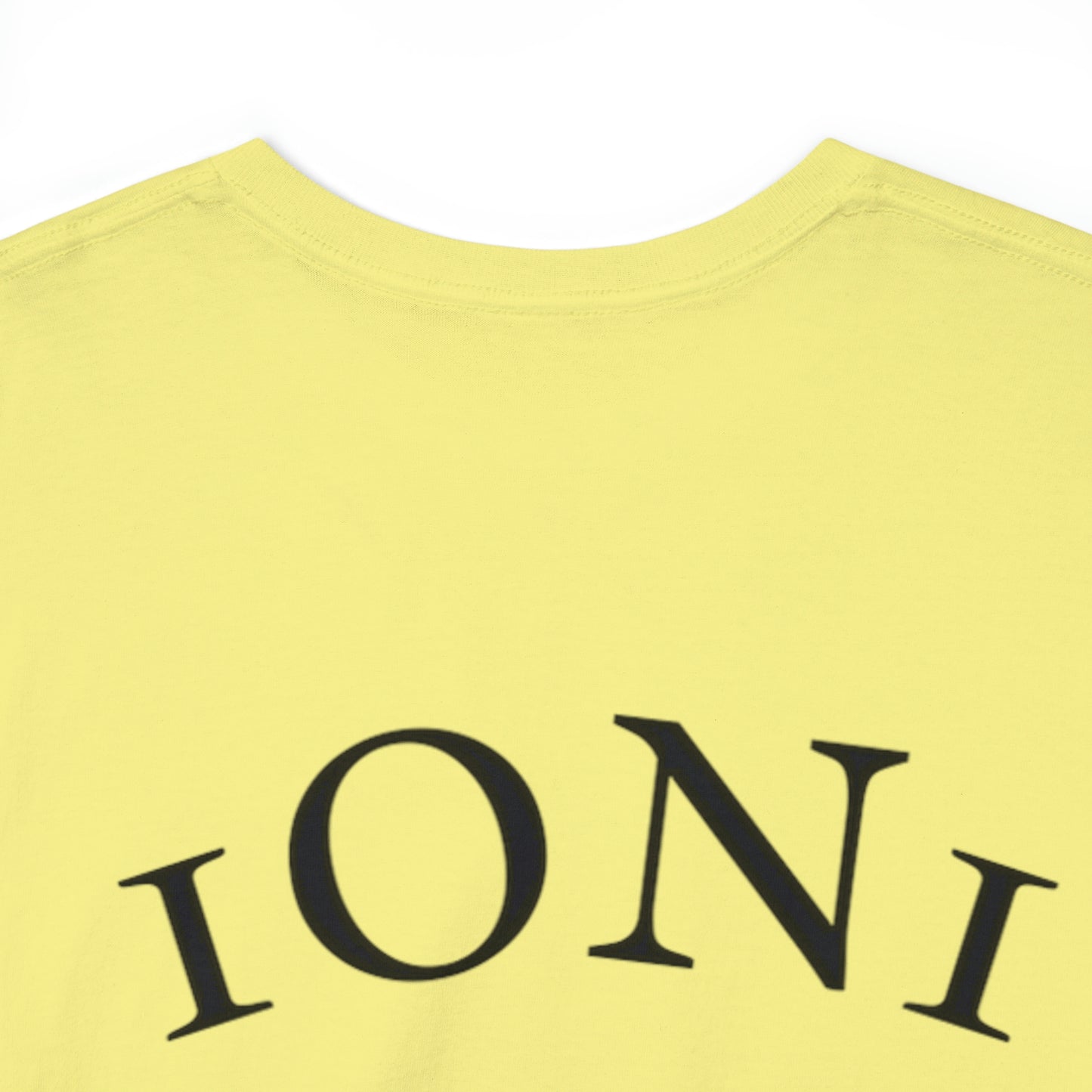 1ON1 Sportswear Heavy Cotton Tee