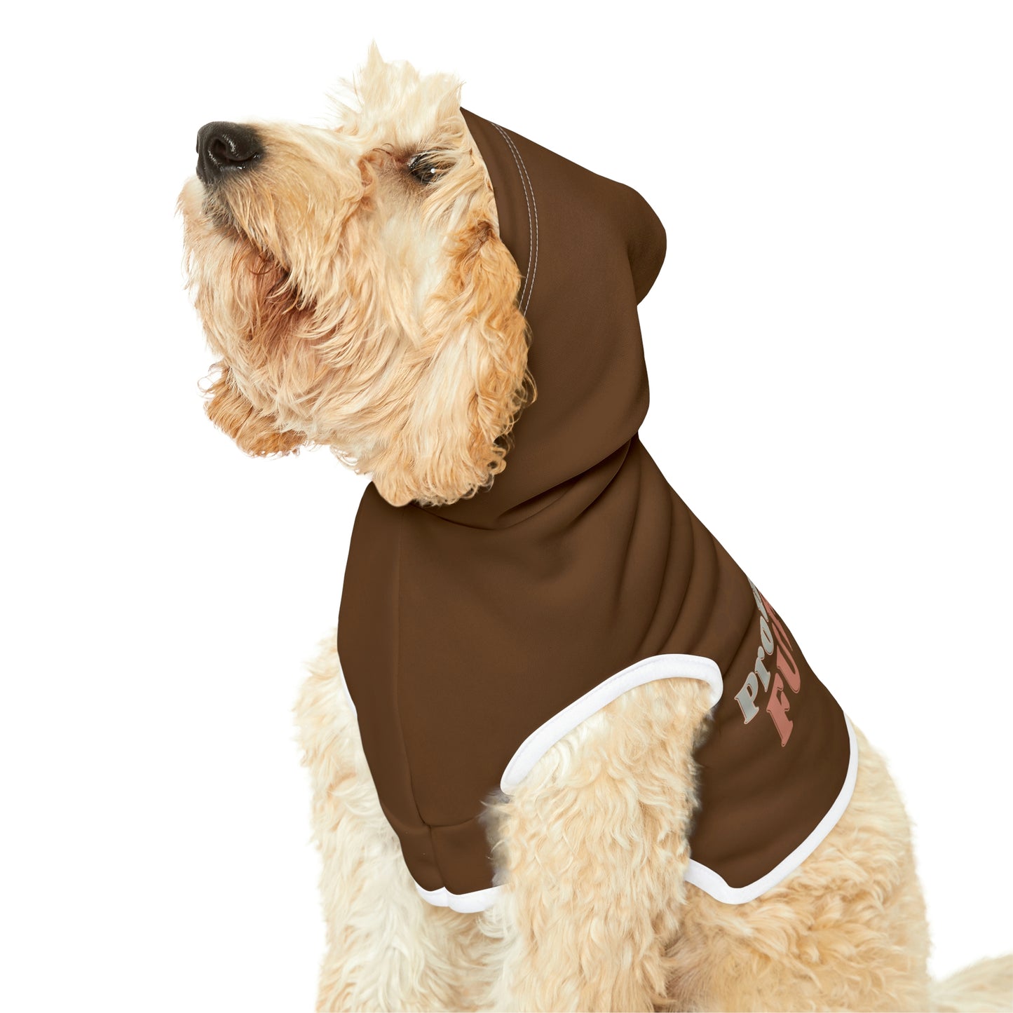 Dark Brown Dog Hoodie