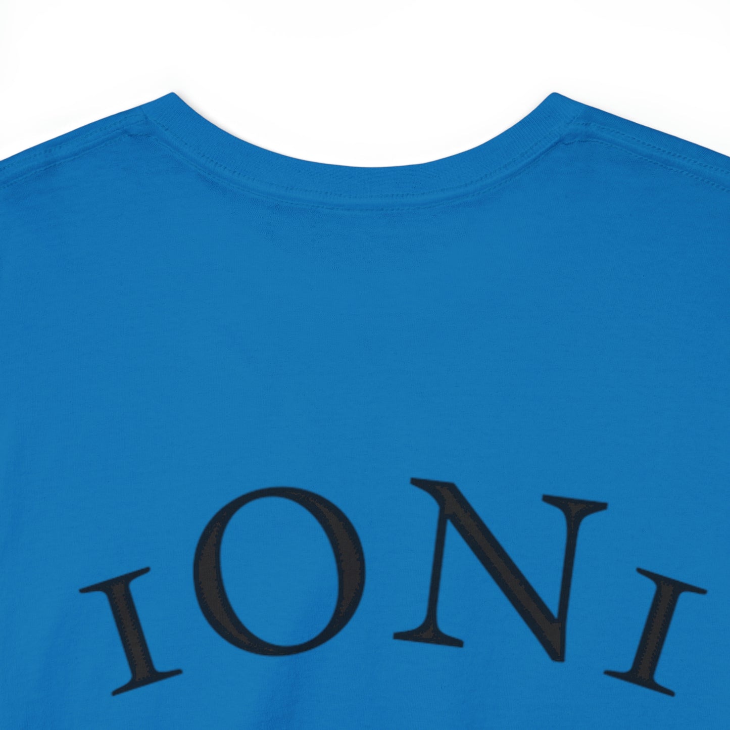 1ON1 Sportswear Heavy Cotton Tee