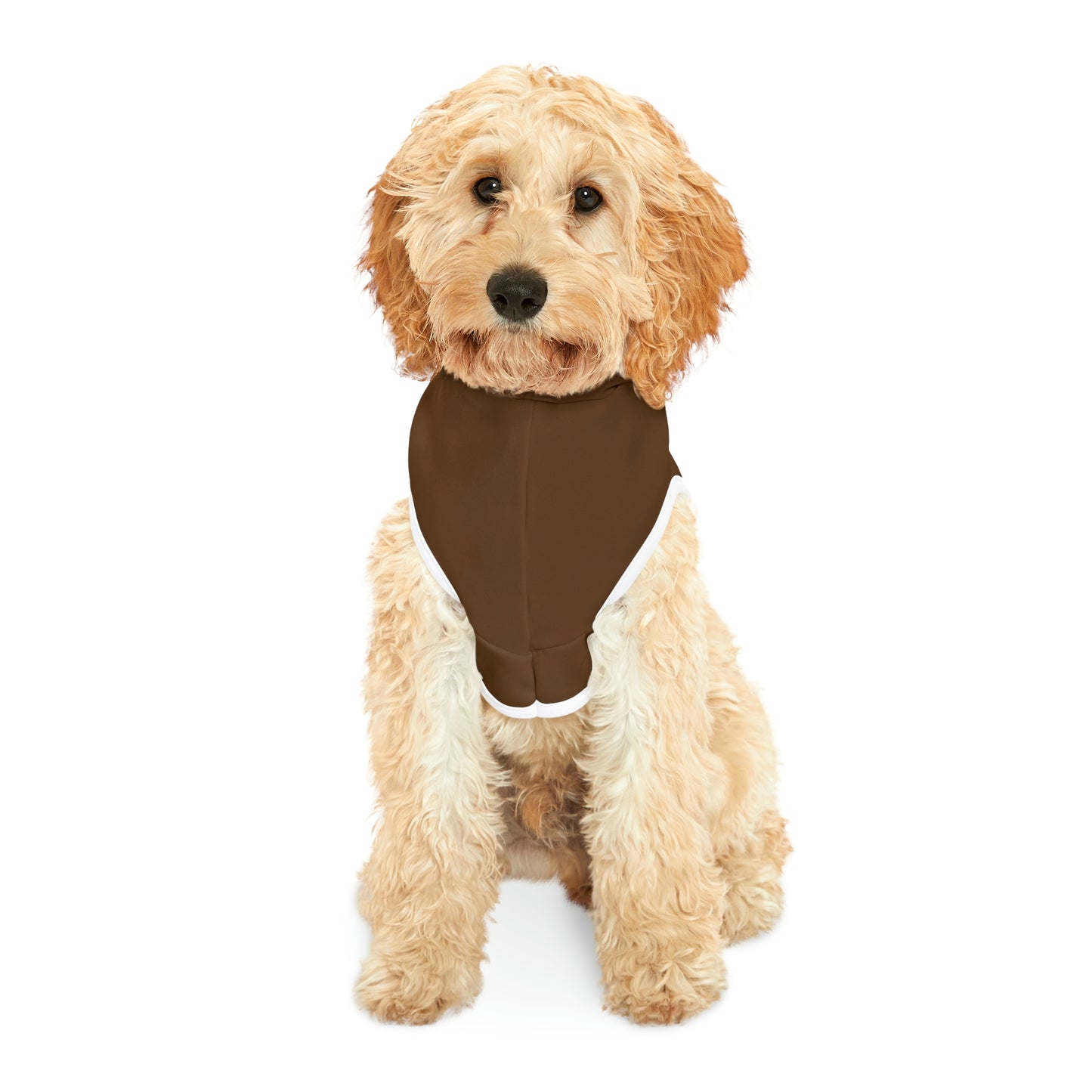 Dark Brown Dog Hoodie