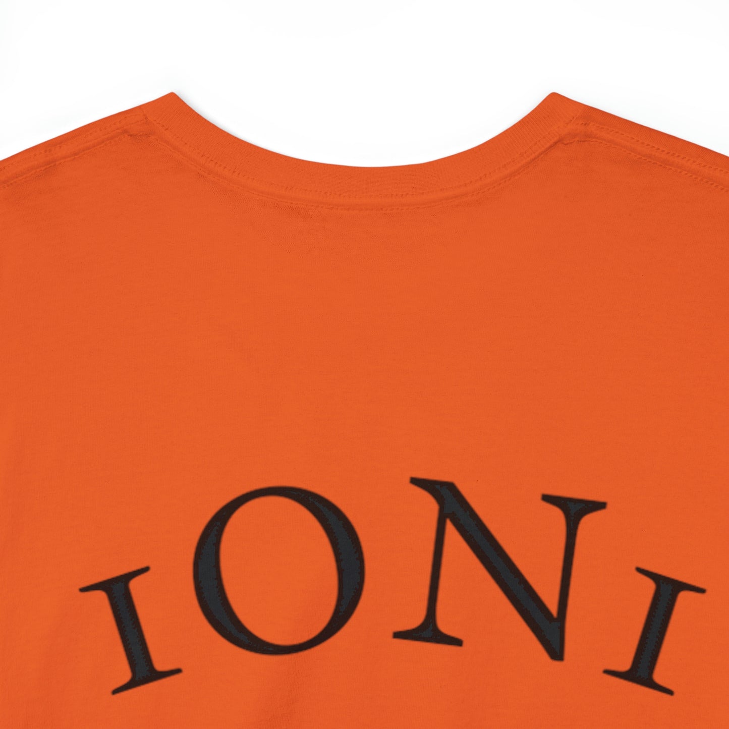 1ON1 Sportswear Heavy Cotton Tee