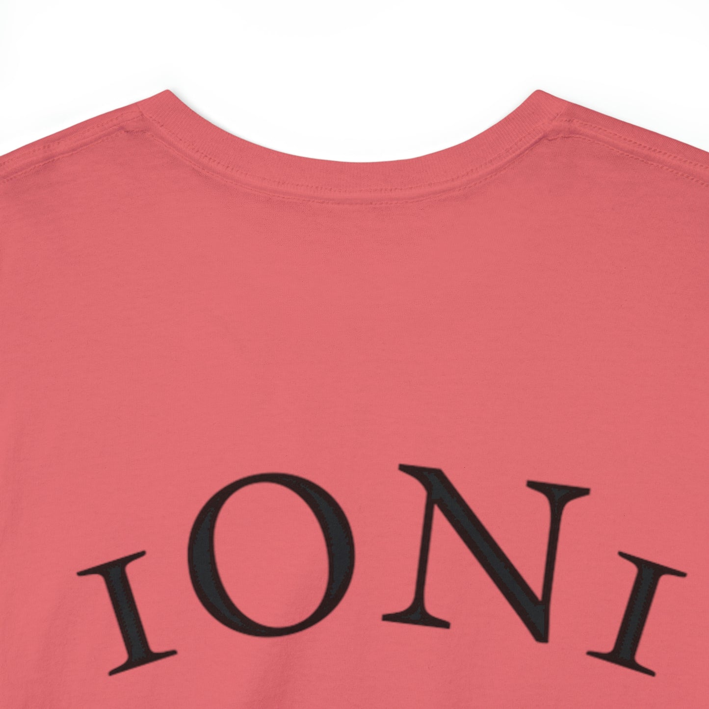 1ON1 Sportswear Heavy Cotton Tee