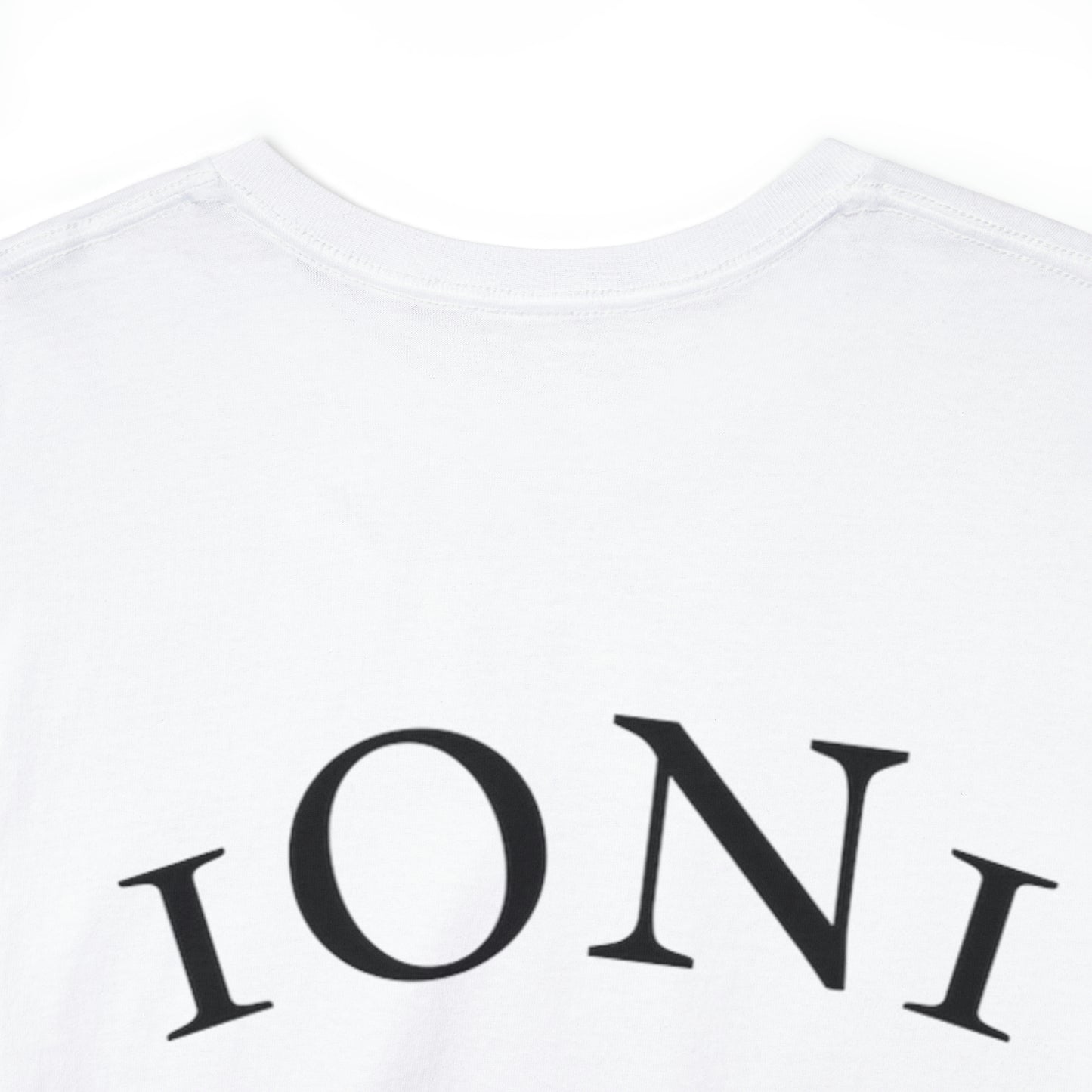 1ON1 Sportswear Heavy Cotton Tee