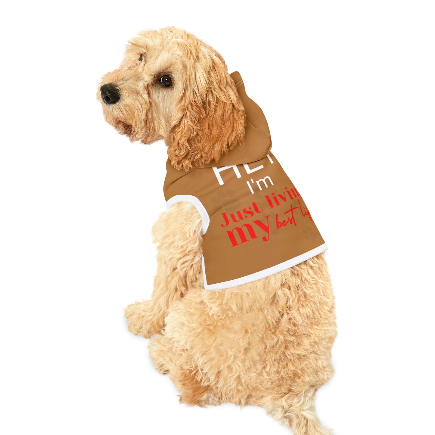 Light Brown Dog Hoodie